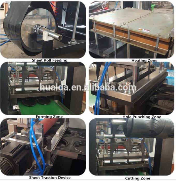 La plastica scherza l'olio Patels che estrae la macchina thermoforming del vassoio pastello dell'inserzione