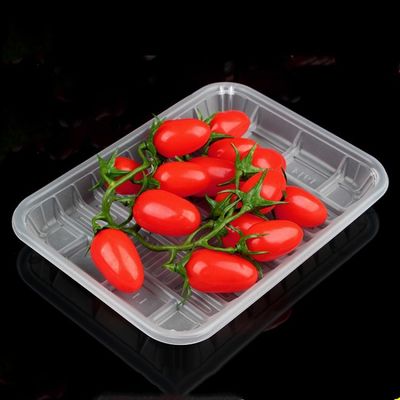 Tazza e macchina di fabbricazione di piatti di plastica eliminabili con il buon prezzo fornitore